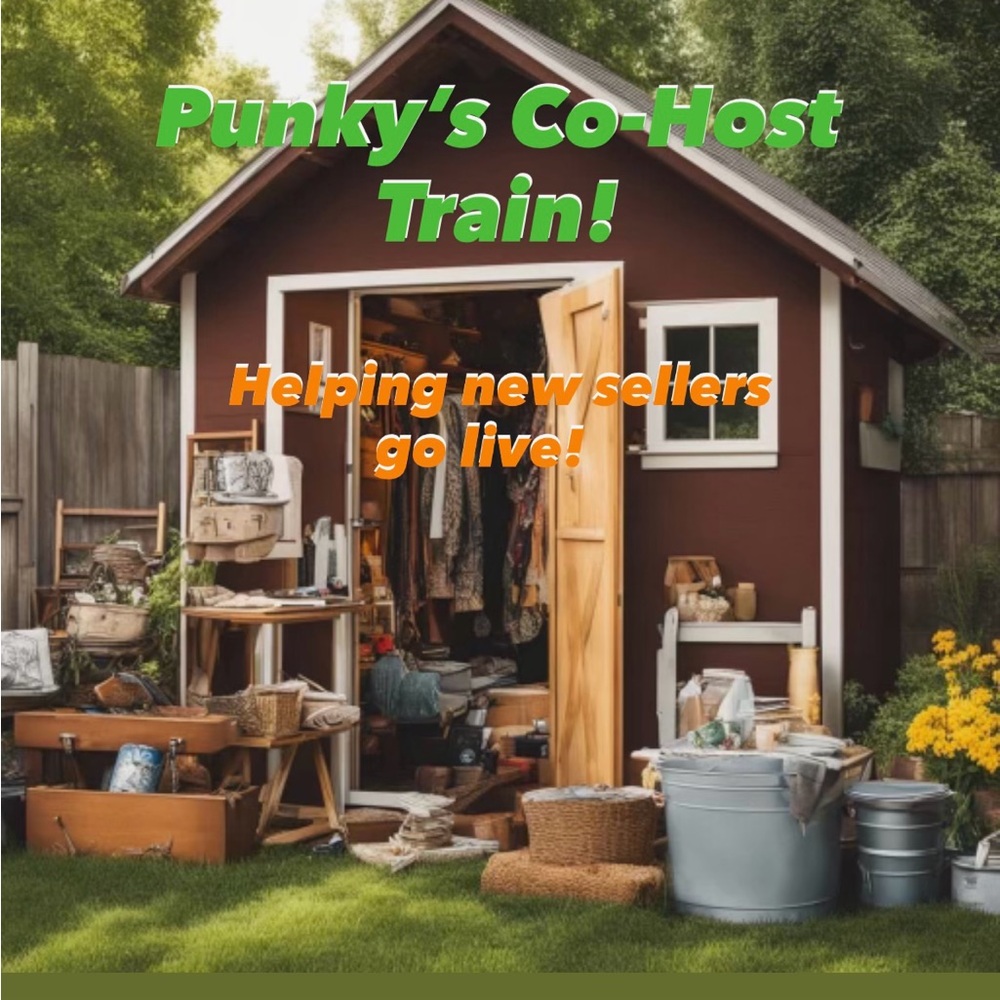 This is a listing to like for the “Punky’s Co-Host Train Show!